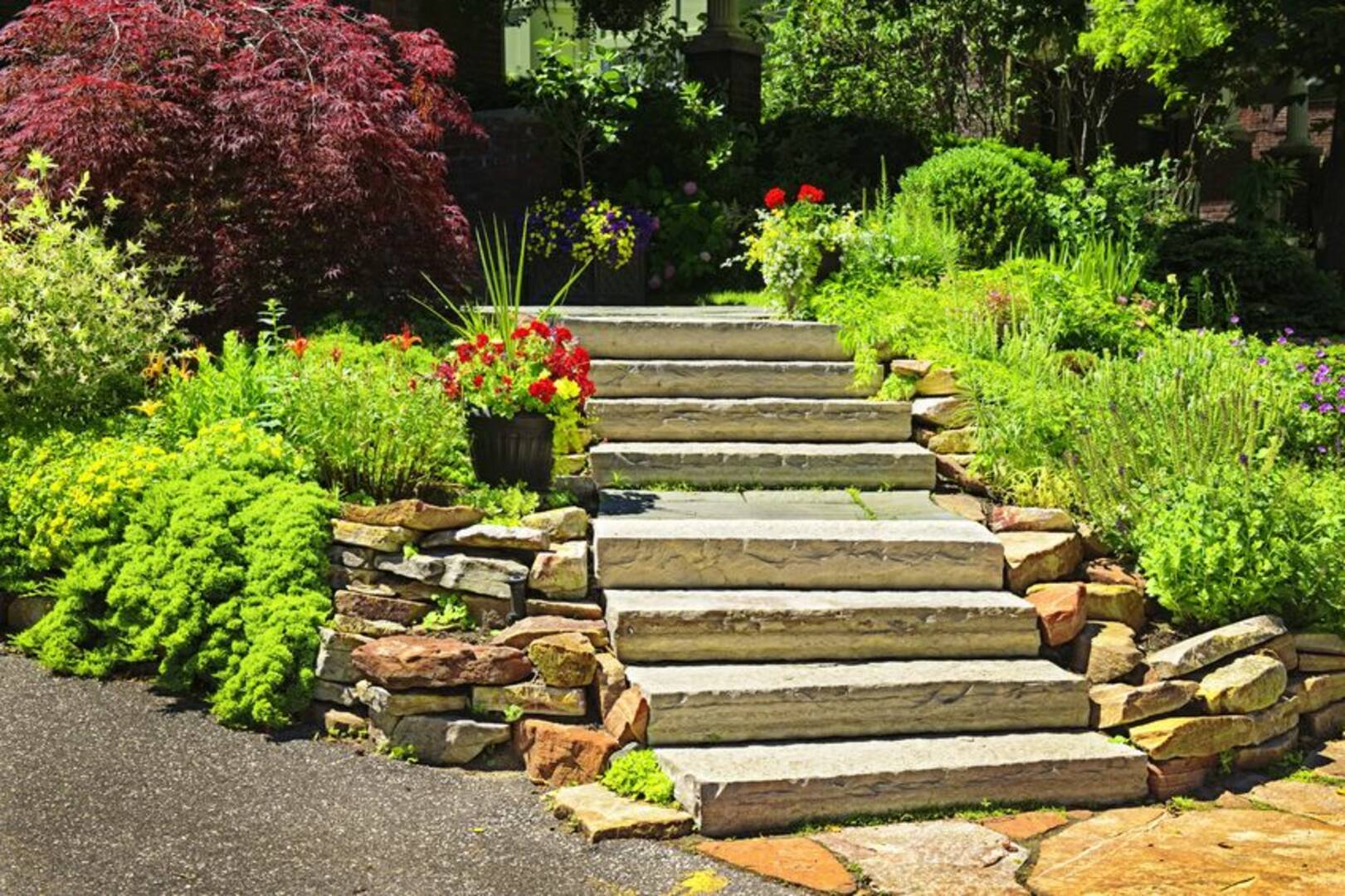 Lex Plant Farm & Garden Center