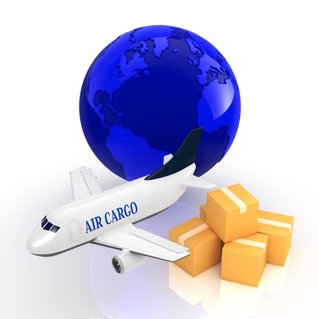 Dashpine Transport