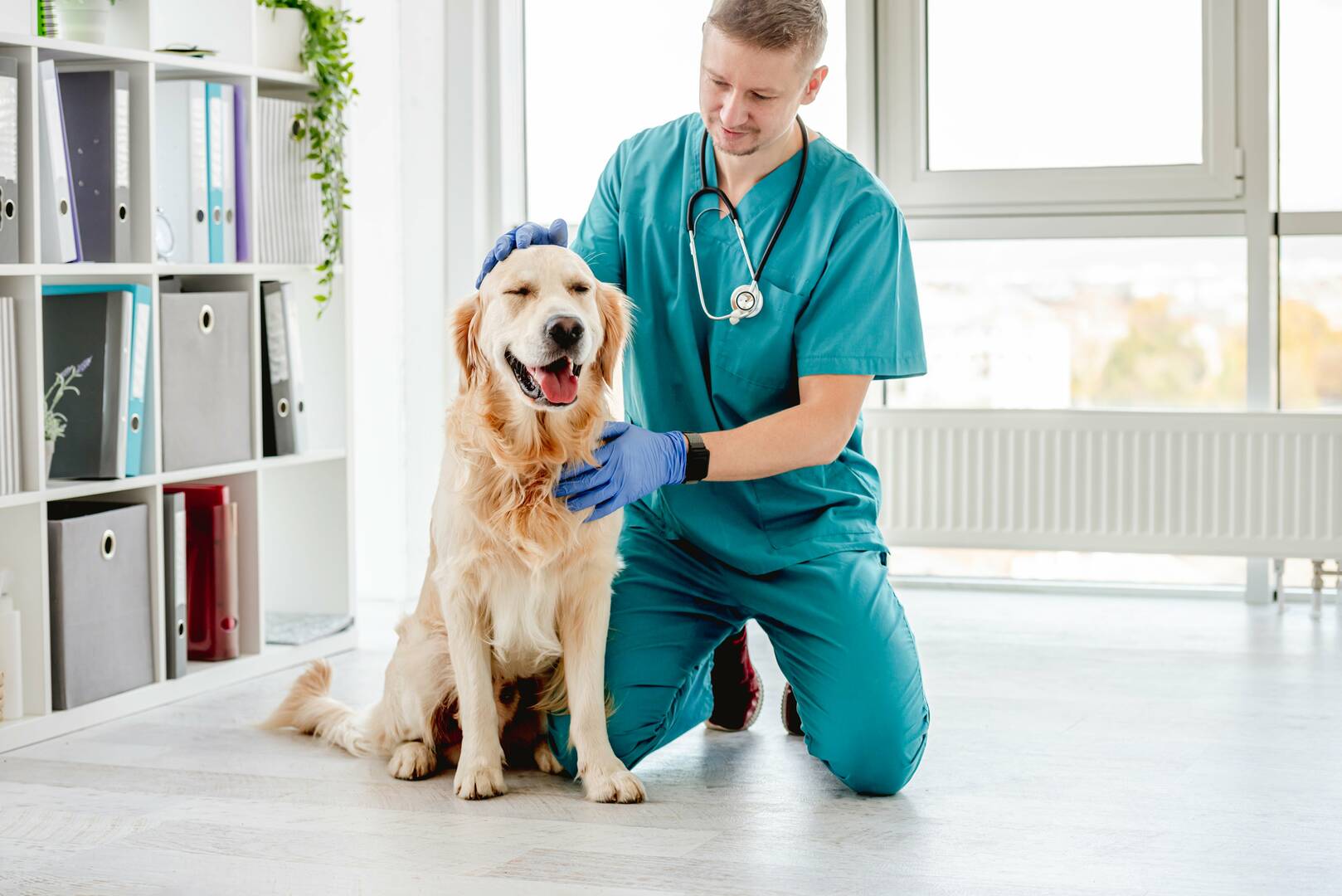 Baywood Animal Hospital