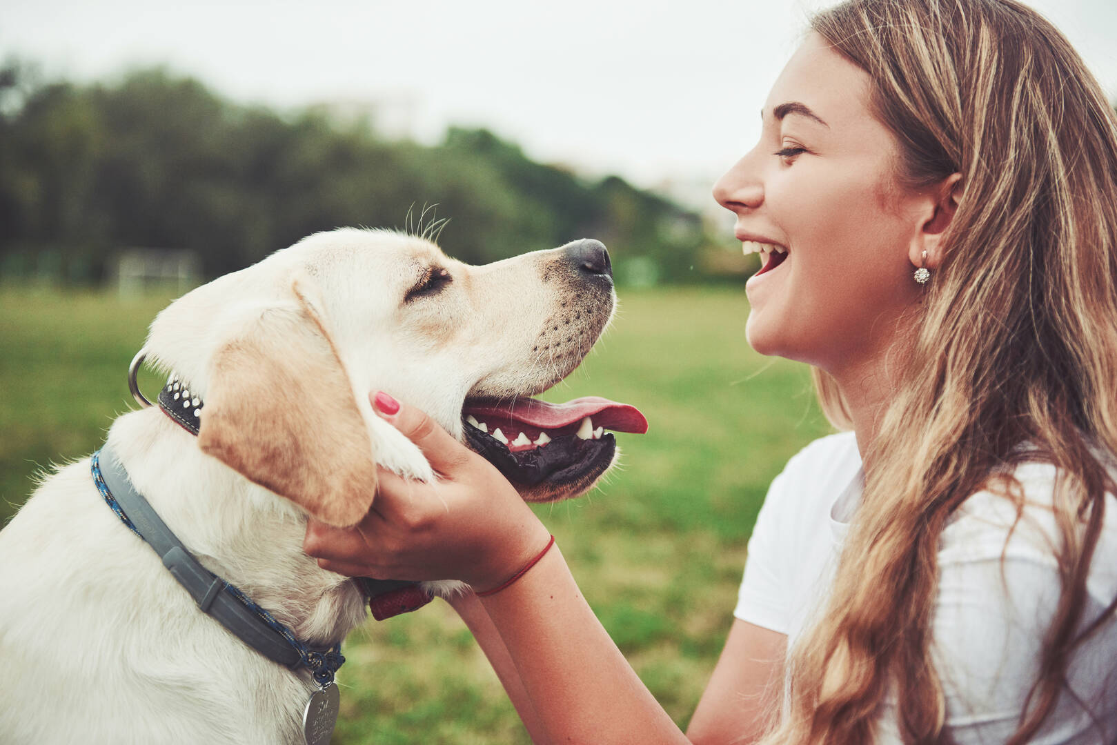 Integra Dog Training