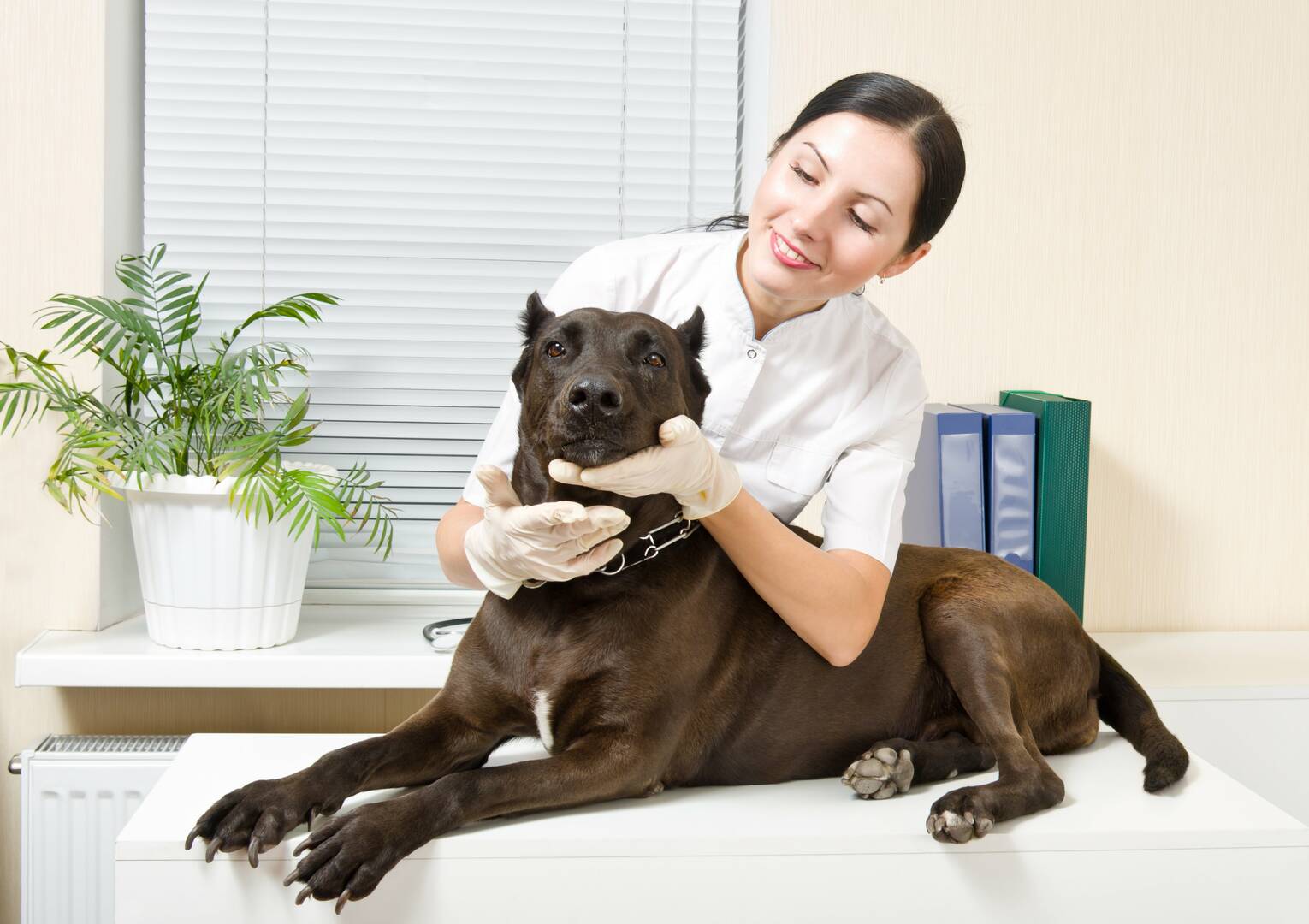 Ashland Terrace Animal Hospital