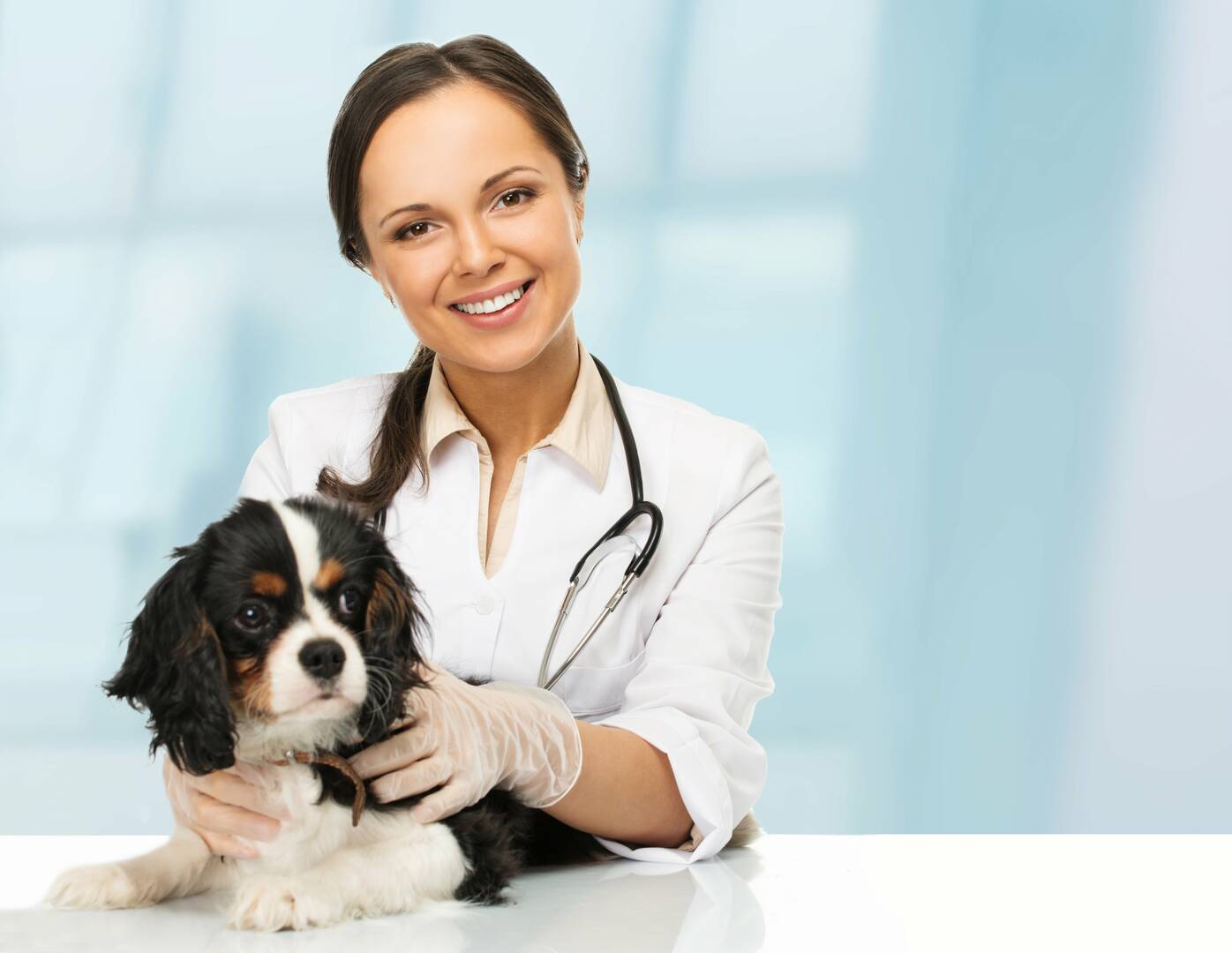 Franklin Veterinary Associates